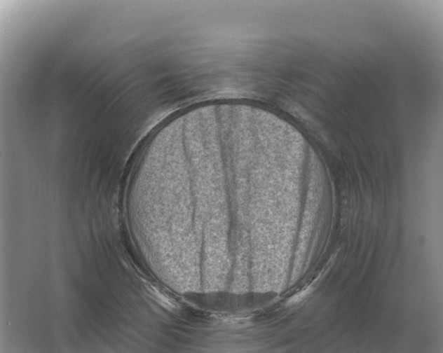 X0000066961170200604142107