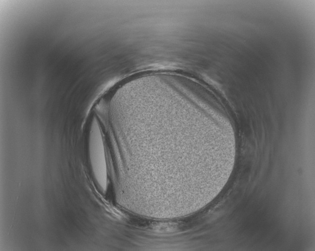 X0000066961171200604142107