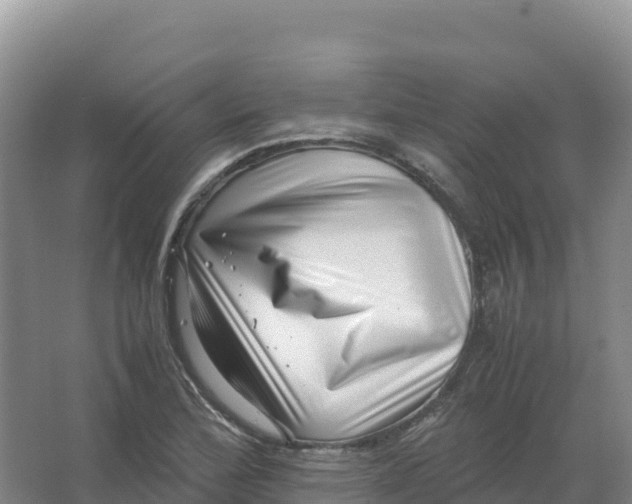 X0000066961172200604142107