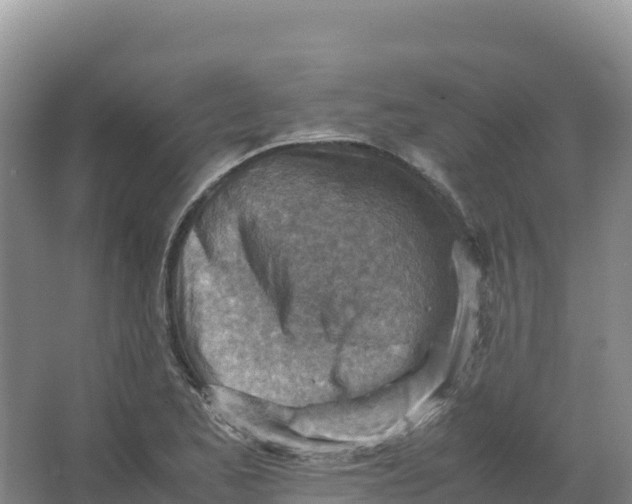 X0000066961173200604142107