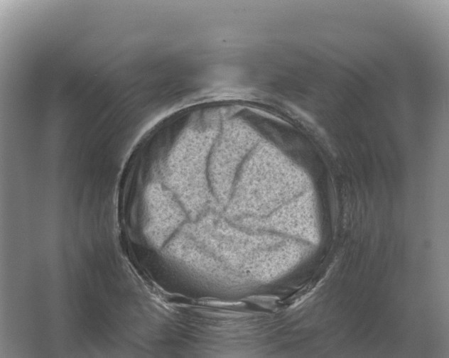 X0000066961174200604142107