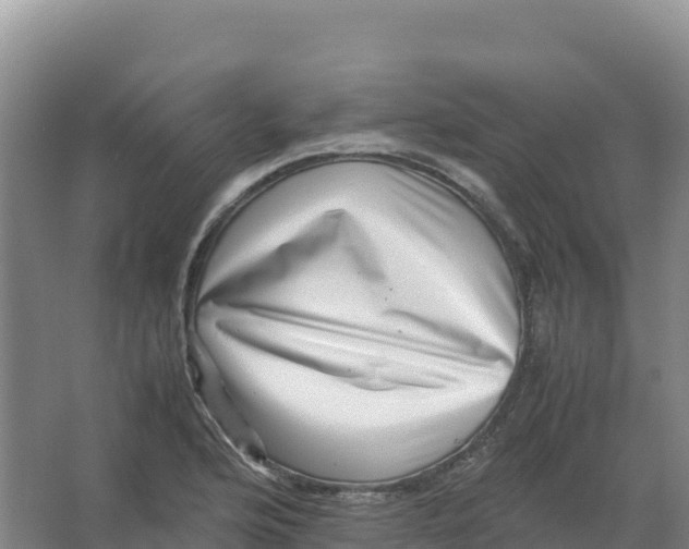 X0000066961176200604142107