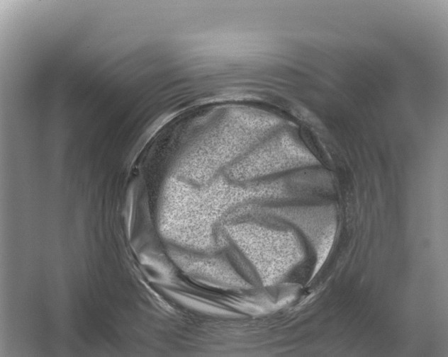 X0000066961177200604142107