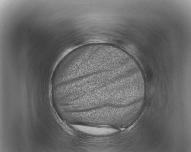 X0000066961179200604142107