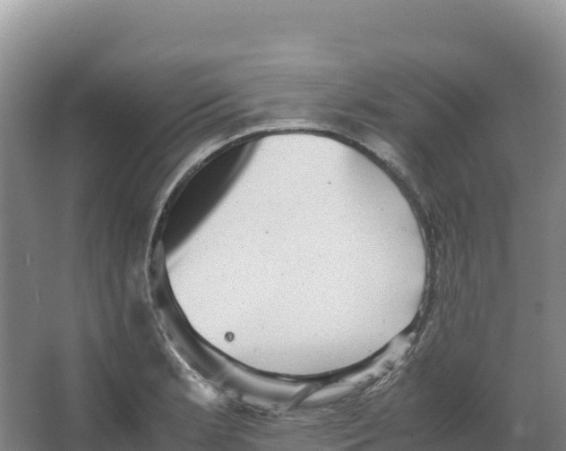 X0000066961181200604142107