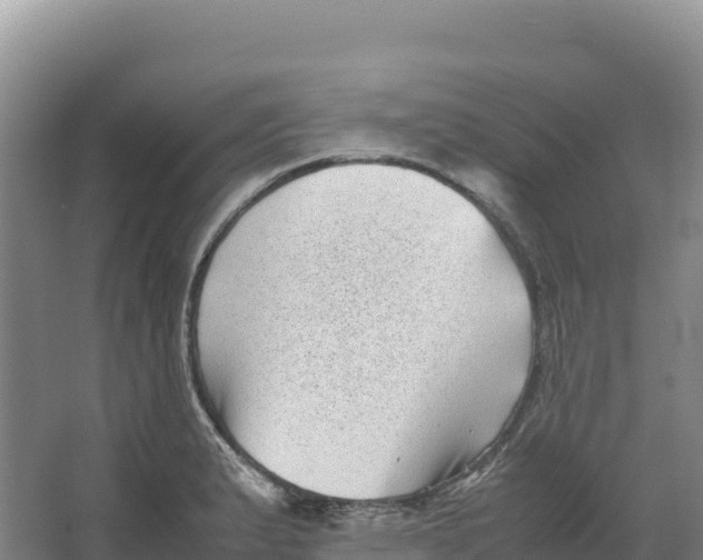 X0000066961183200604142107