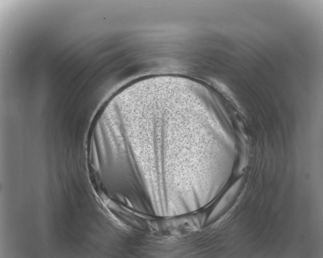 X0000066961184200604142107