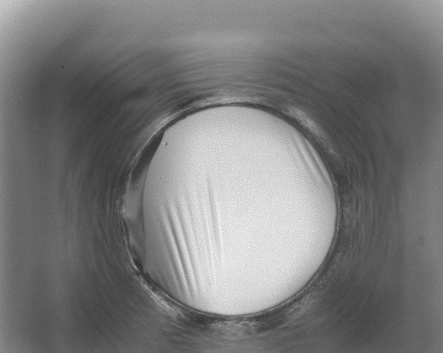 X0000066961185200604142107