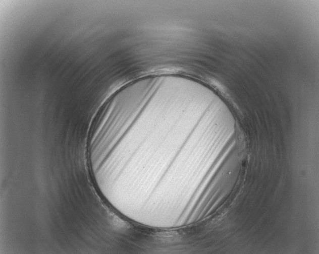 X0000066961186200604142107