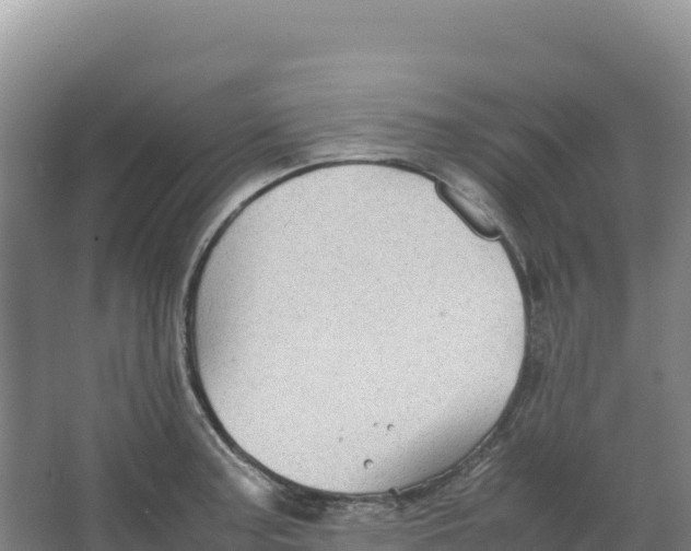 X0000066961187200604142107