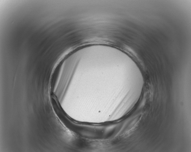 X0000066961188200604142107