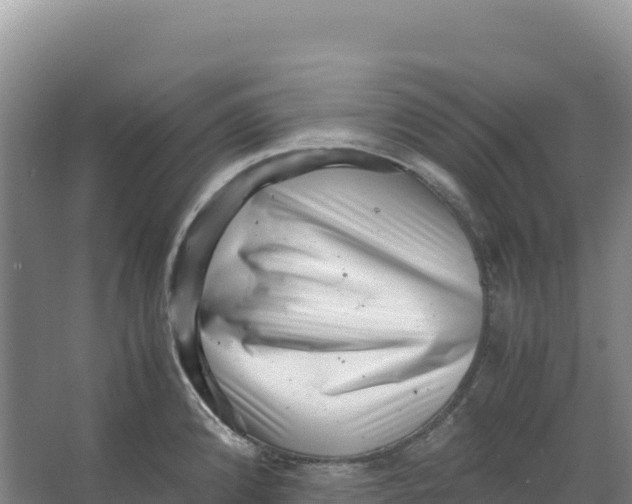 X0000066961192200604142107