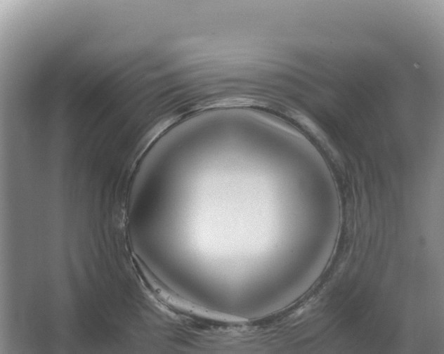 X0000066961193200604142107