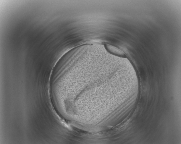 X0000066961194200604142107