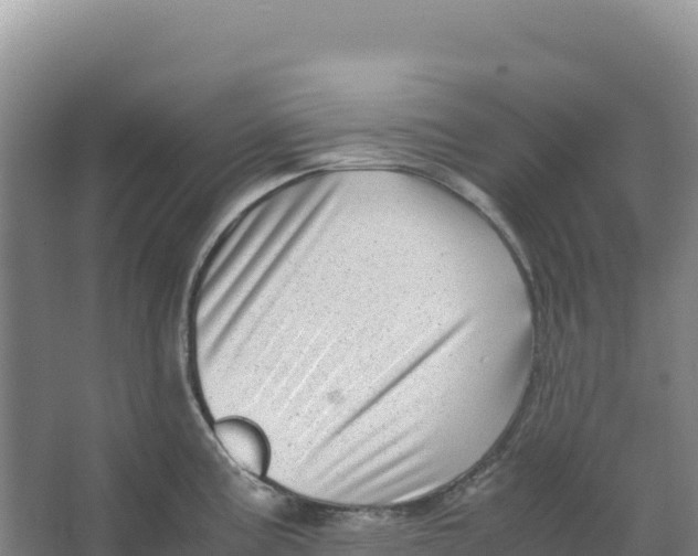 X0000066961195200604142107