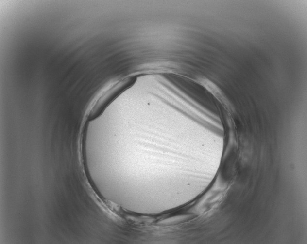 X0000066961196200604142107