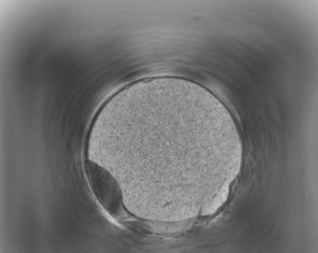 X0000066961197200604142107