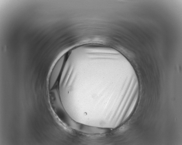 X0000066961200200604142107