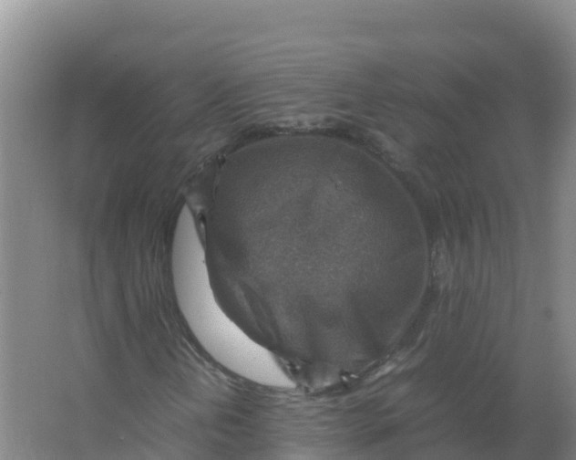 X0000066961202200604142106