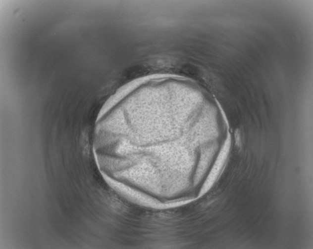 X0000066961203200604142106