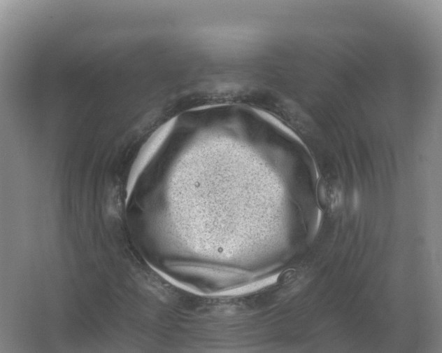 X0000066961204200604142106