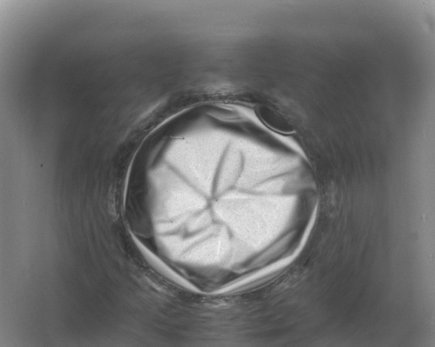 X0000066961205200604142106