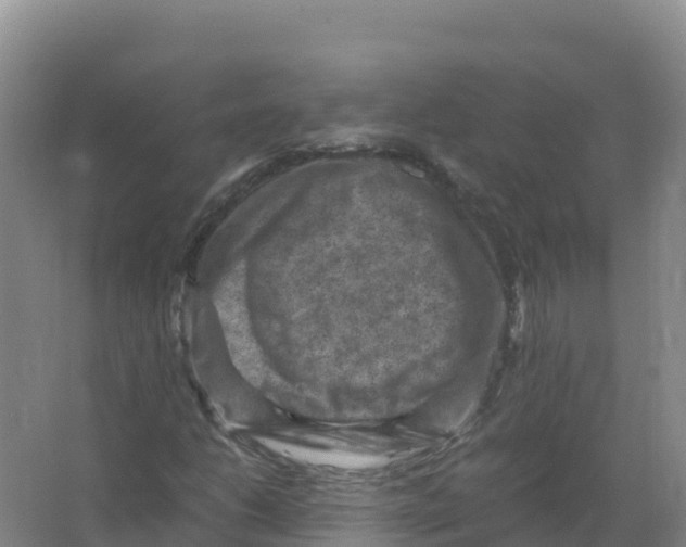 X0000066961206200604142106