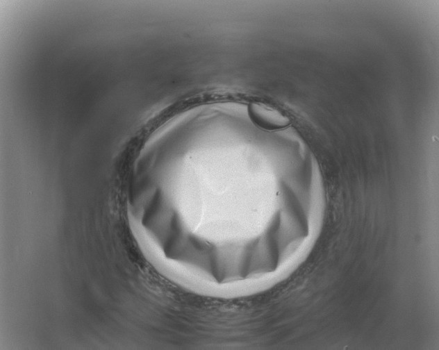 X0000066961207200604142106