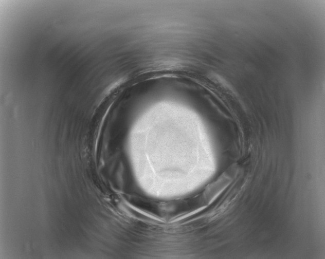 X0000066961210200604142106