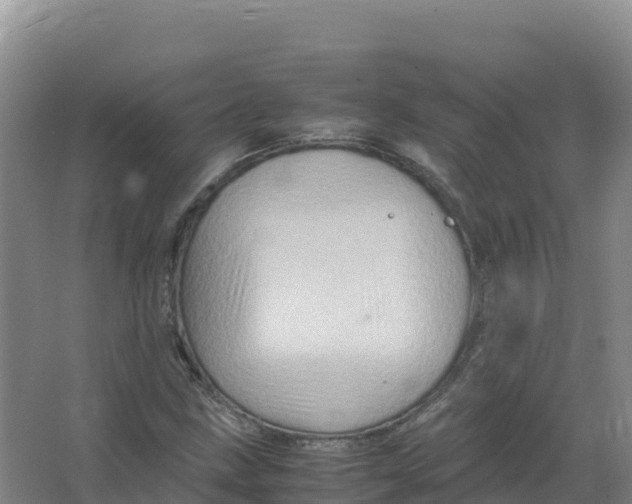 X0000066961211200604142106