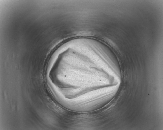 X0000066961212200604142106