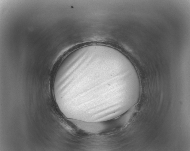 X0000066961214200604142106