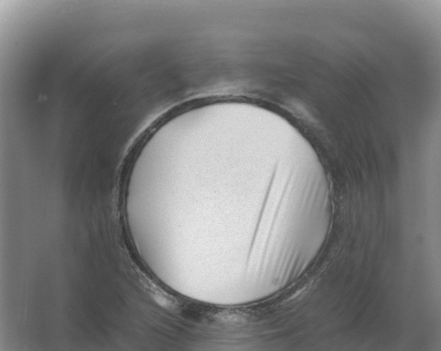 X0000066961216200604142106