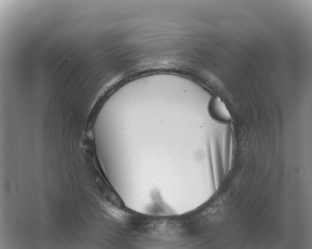 X0000066961218200604142106