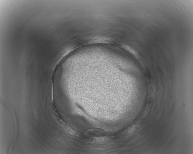 X0000066961219200604142106