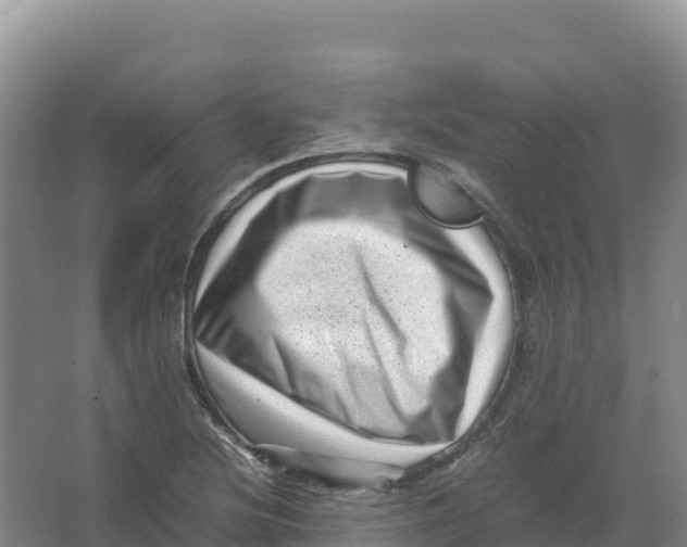 X0000066961220200604142106