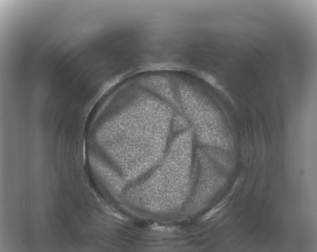 X0000066961221200604142106