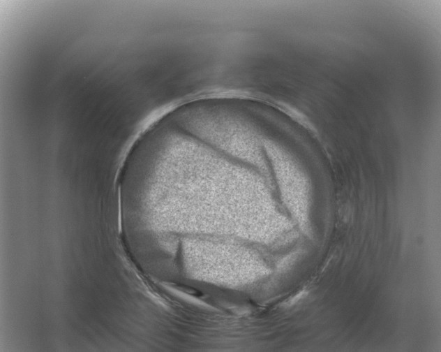 X0000066961223200604142106