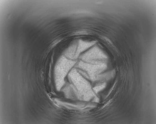 X0000066961225200604142106