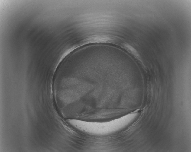 X0000066961226200604142106