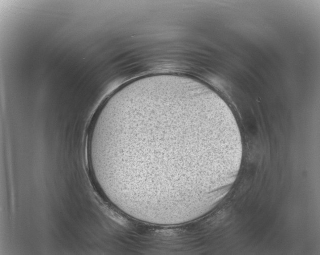 X0000066961227200604142106