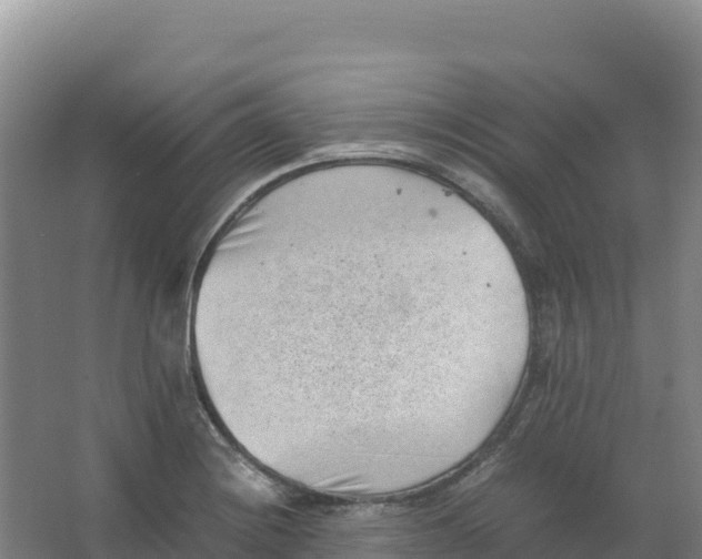 X0000066961228200604142107