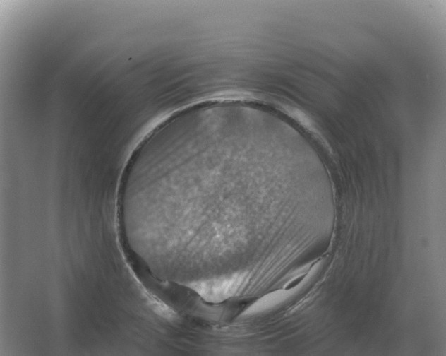 X0000066961229200604142107