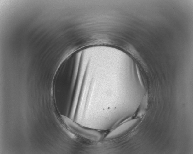 X0000066961234200604142107