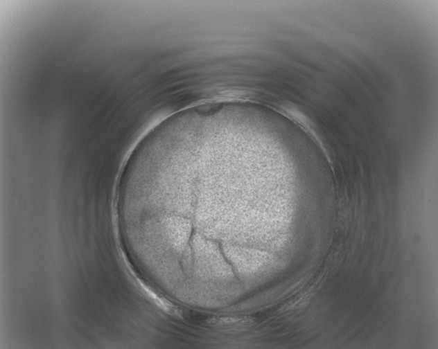 X0000066961235200604142107