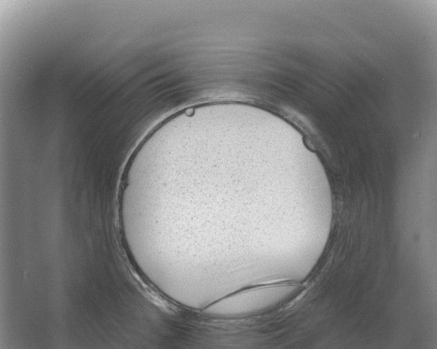 X0000066961236200604142107