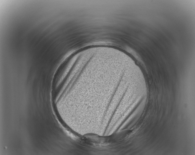 X0000066961237200604142107