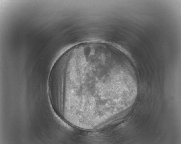 X0000066961239200604142107