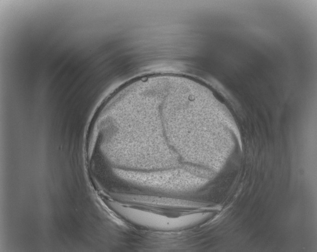 X0000066961240200604142107