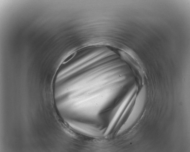 X0000066961242200604142107